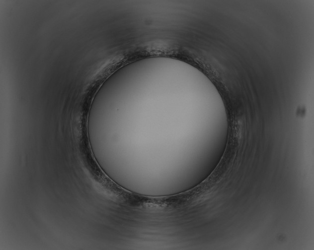 X0000091510690200708311227