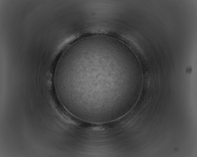 X0000091510692200708311227