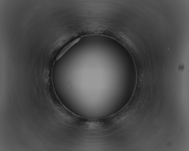 X0000091510693200708311227