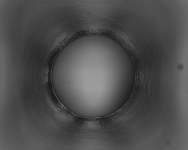 X0000091510694200708311227