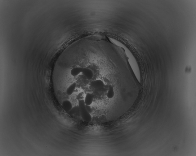 X0000091510695200708311227