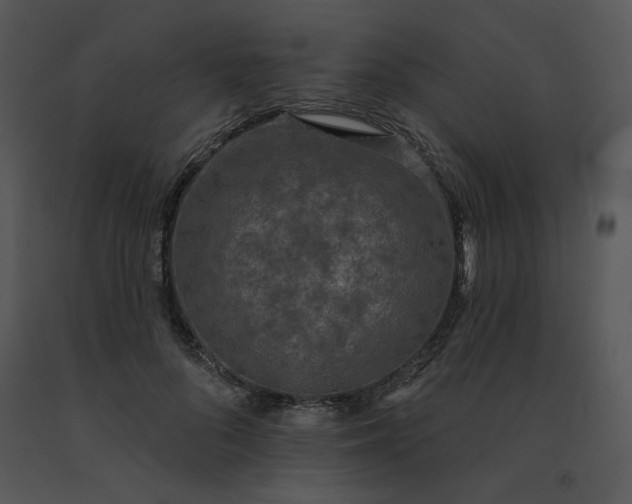 X0000091510696200708311227