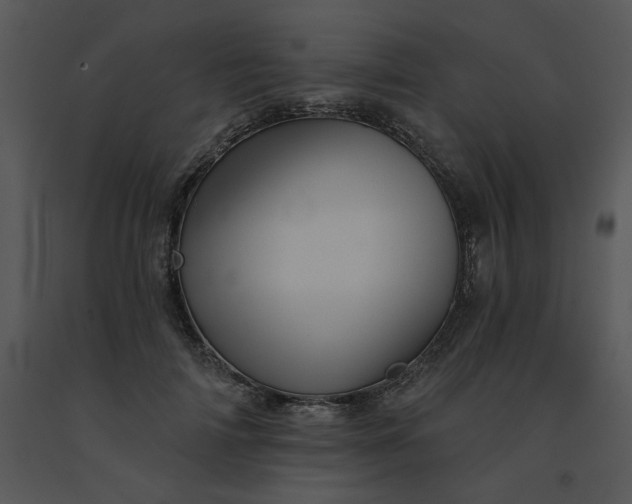 X0000091510698200708311227