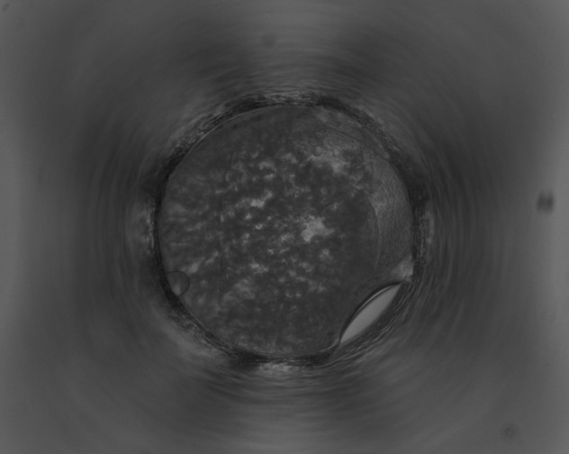 X0000091510699200708311227