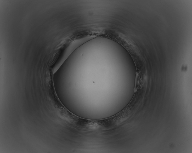 X0000091510704200708311227