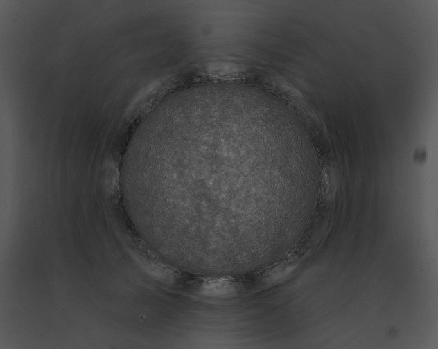 X0000091510705200708311227