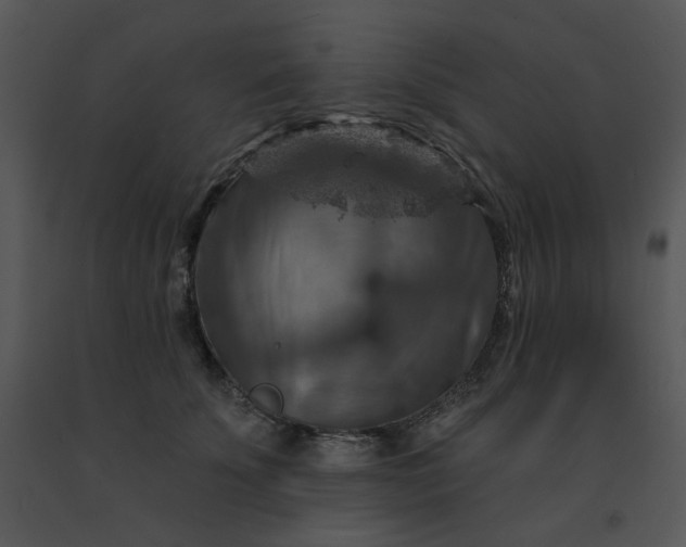 X0000091510707200708311227