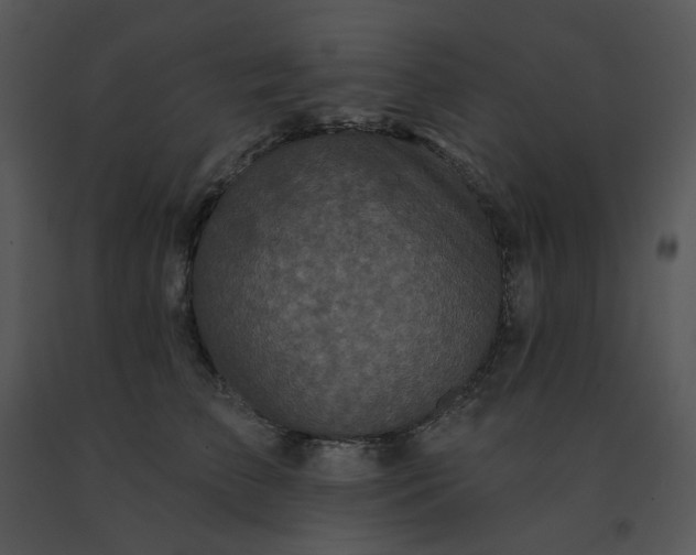 X0000091510709200708311227