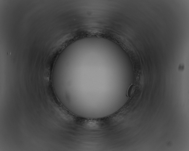 X0000091510710200708311227