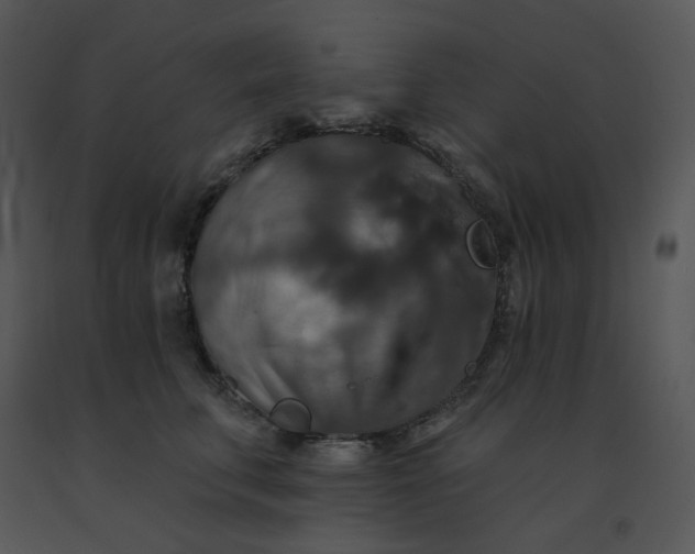 X0000091510711200708311227