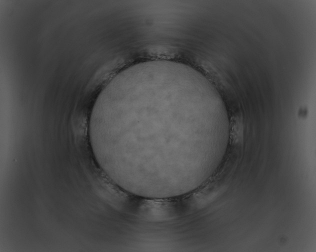 X0000091510713200708311227