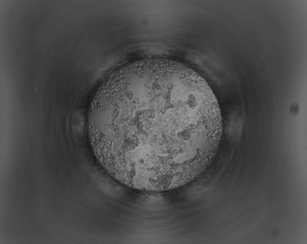 X0000091510715200708311227