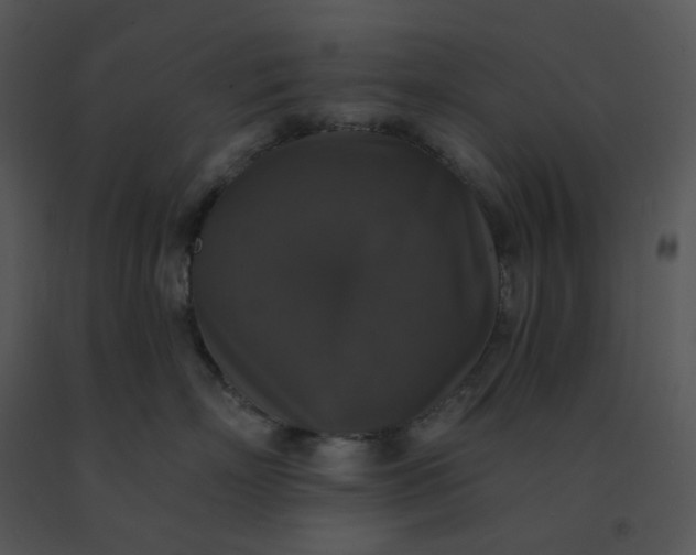 X0000091510718200708311227