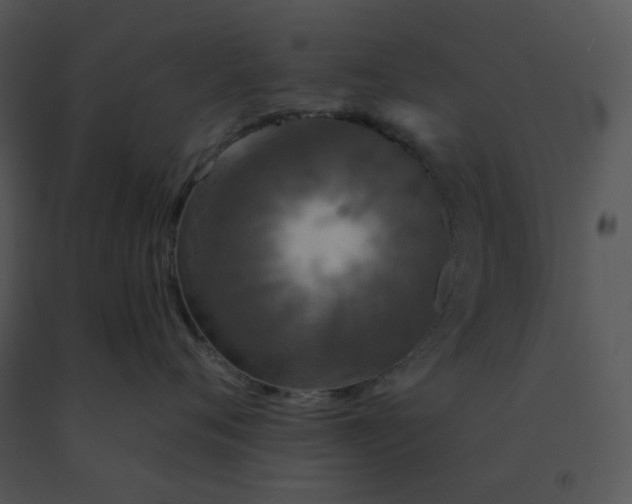 X0000091510720200708311227