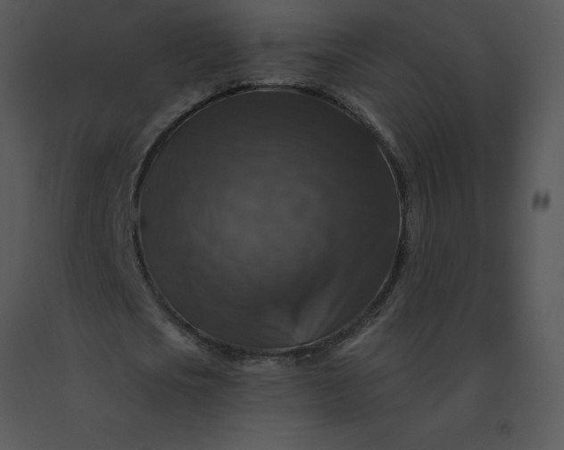 X0000091510721200708311226