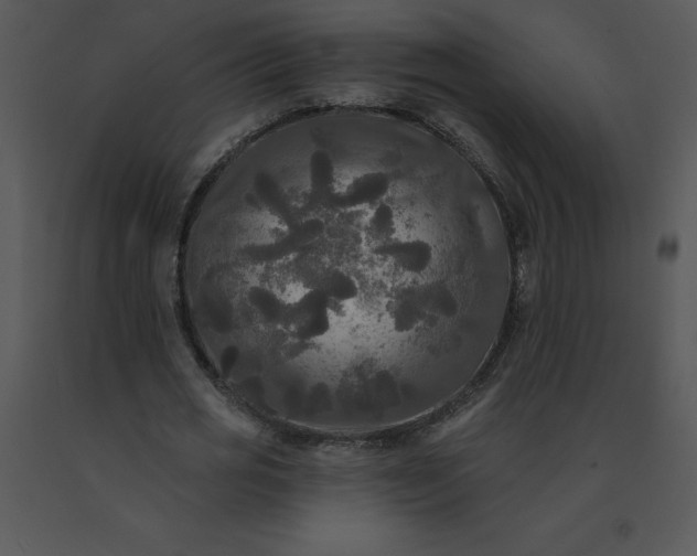 X0000091510725200708311226