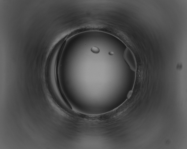 X0000091510726200708311226