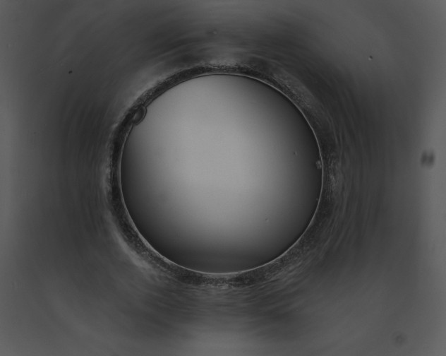 X0000091510728200708311226