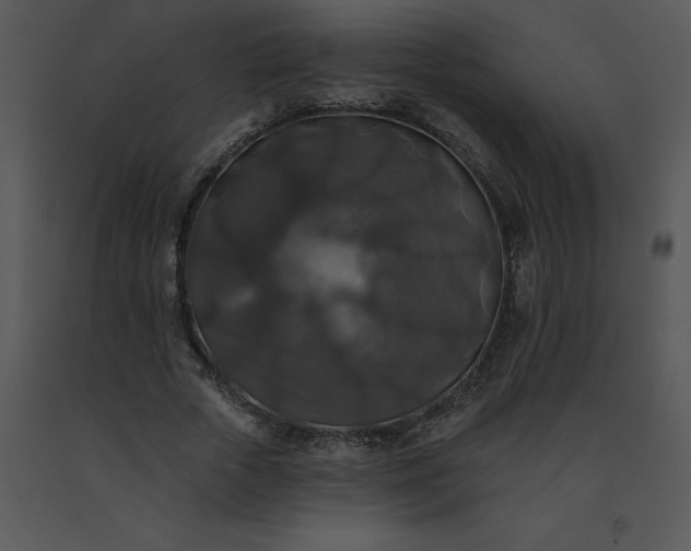 X0000091510729200708311226