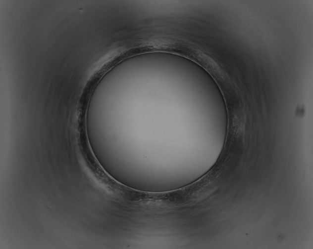 X0000091510730200708311226