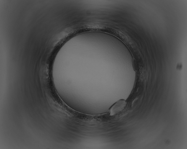 X0000091510731200708311226