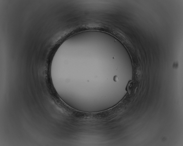 X0000091510732200708311226