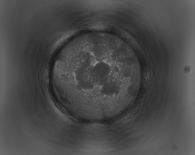 X0000091510734200708311226