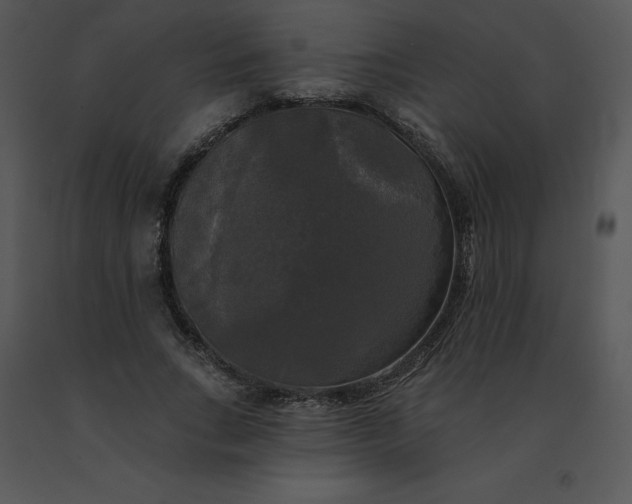 X0000091510735200708311226