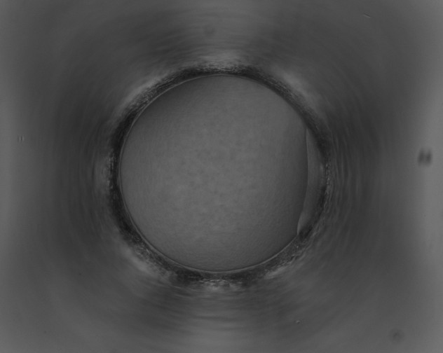 X0000091510736200708311226