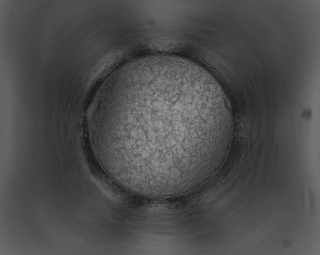 X0000091510738200708311226