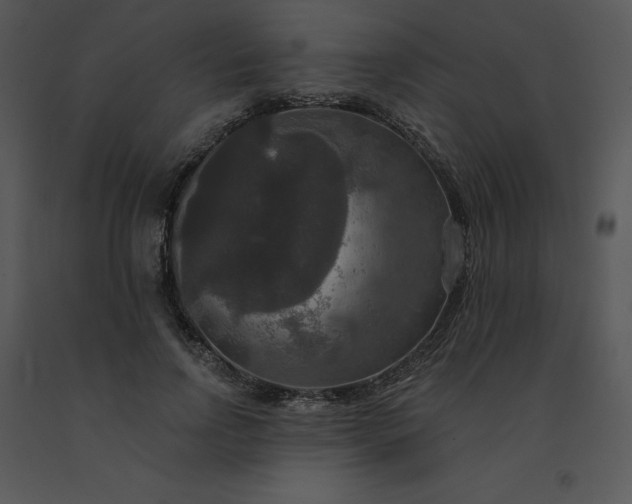 X0000091510742200708311227