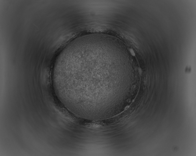 X0000091510743200708311227