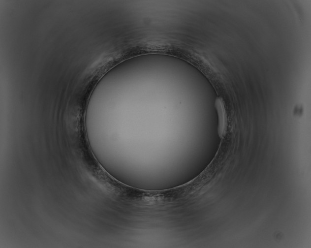 X0000091510744200708311227