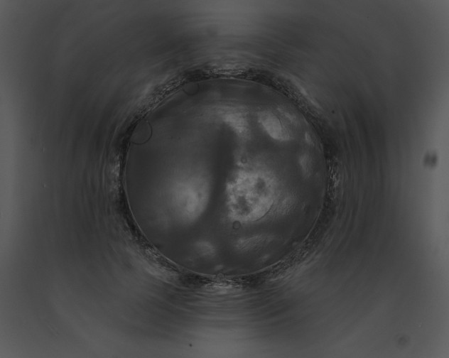 X0000091510745200708311227