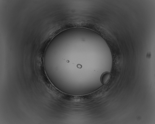 X0000091510746200708311227