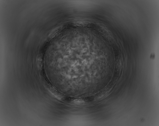 X0000091510749200708311227