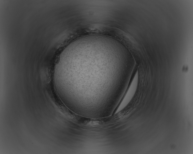 X0000091510751200708311227