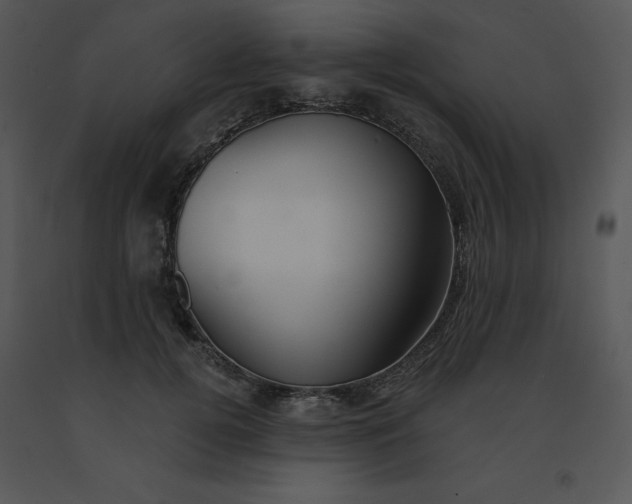 X0000091510752200708311227