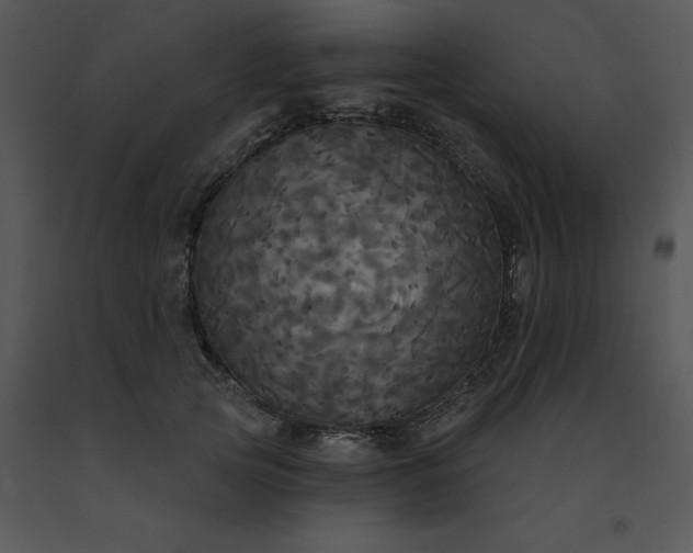 X0000091510753200708311227