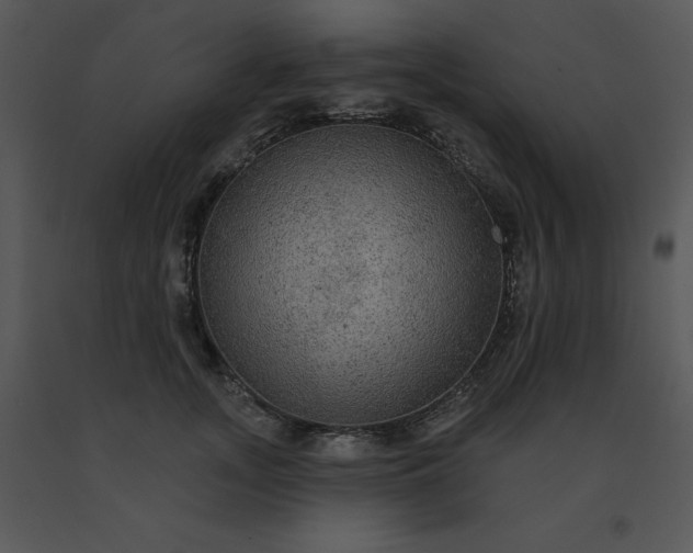 X0000091510755200708311227