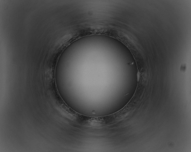 X0000091510756200708311227