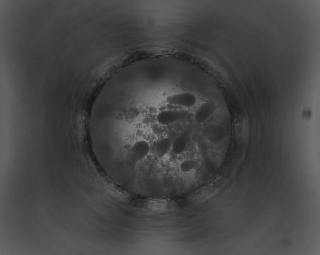 X0000091510757200708311227