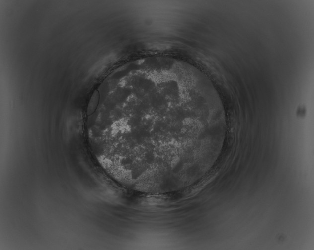 X0000091510758200708311227