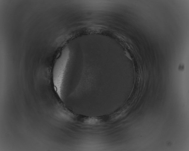 X0000091510759200708311227