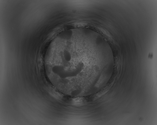 X0000091510761200708311227