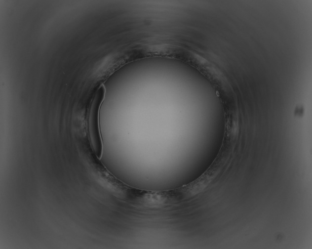 X0000091510764200708311227