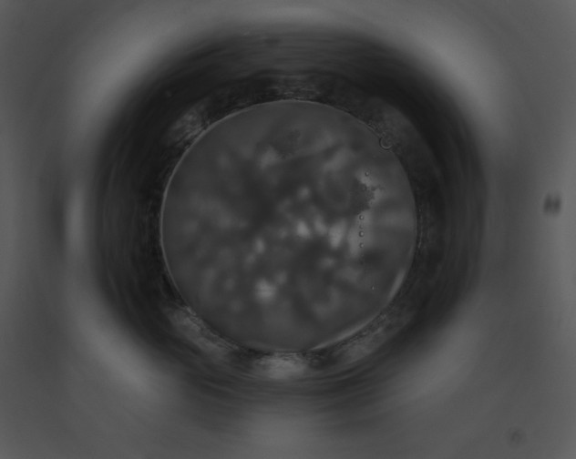 X0000091510765200708311227