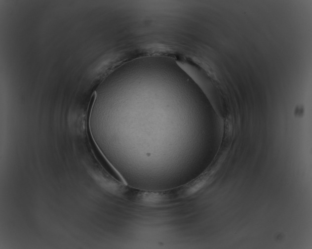 X0000091510766200708311227