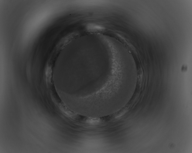 X0000091510767200708311227