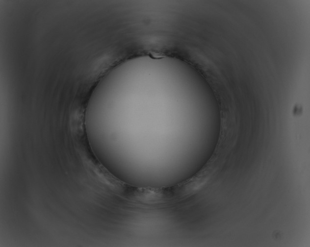 X0000091510768200708311227